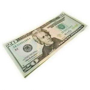 $20 Dollar Bill