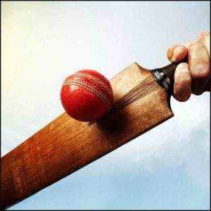 Cricket Ball With Bat