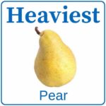 Heaviest Pear