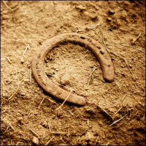 Horse Shoe laying in the dirt
